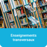 Enseignements transversaux